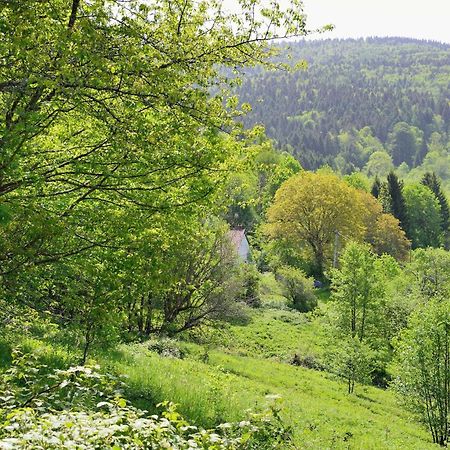 Hébergement François Mathieu Saint-Maurice-sur-Moselle Buitenkant foto