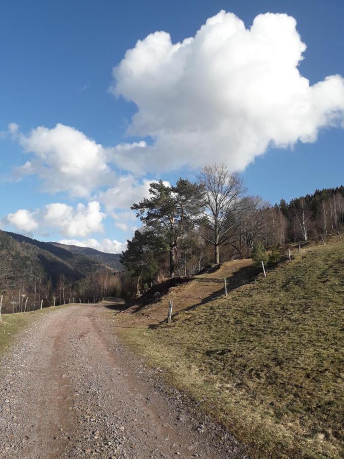 Hébergement François Mathieu Saint-Maurice-sur-Moselle Buitenkant foto