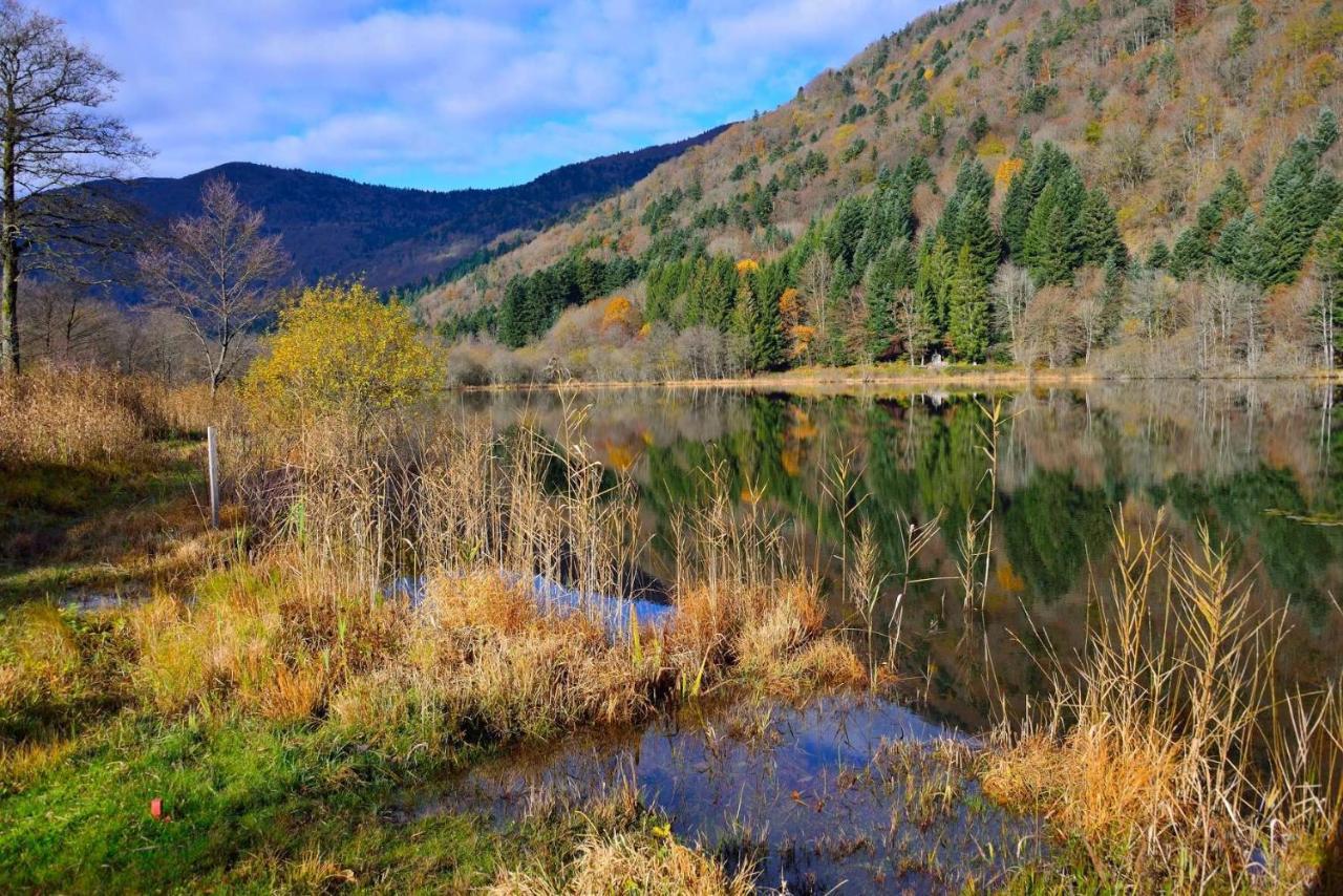 Hébergement François Mathieu Saint-Maurice-sur-Moselle Buitenkant foto